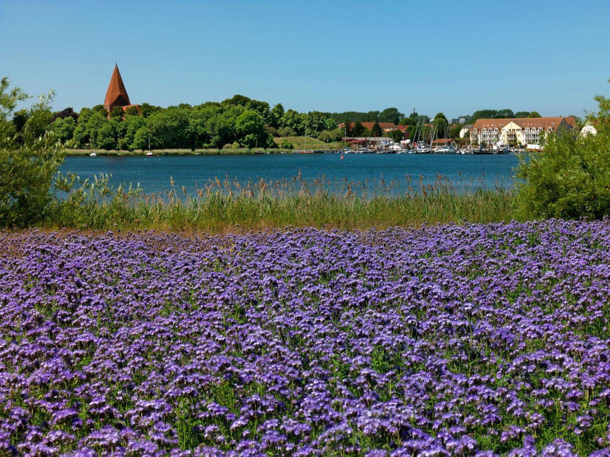 Daenisches Ferienhaus Kaltenhof Exteriér fotografie